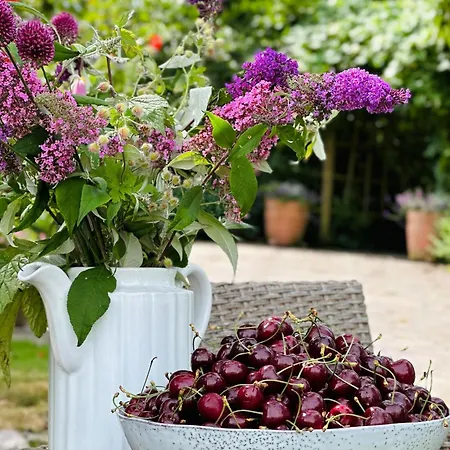 Altlaender Obsthof בית חווה