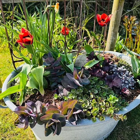 Altlaender Obsthof בית חווה