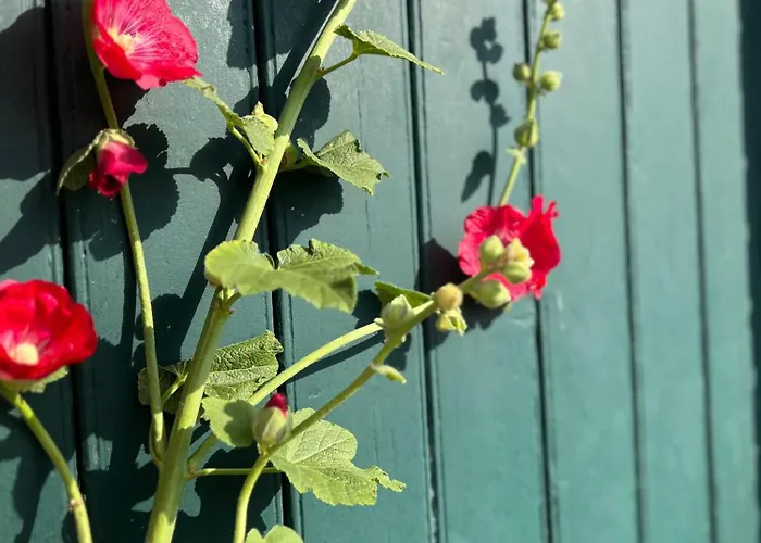 Altlaender Obsthof * Hollern-Twielenfleth