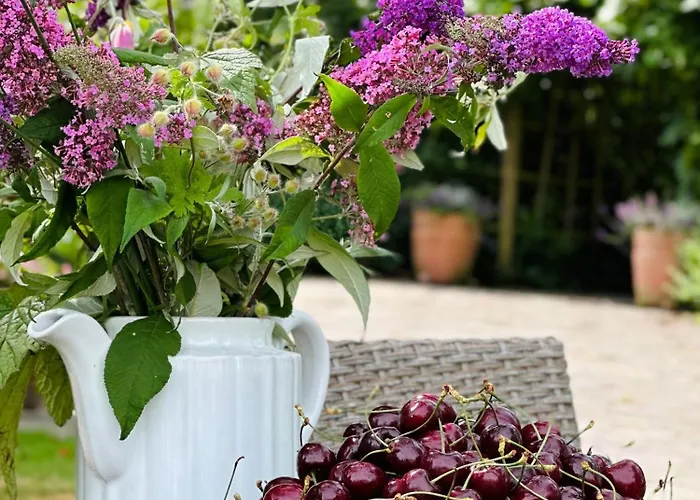 Altlaender Obsthof Farma