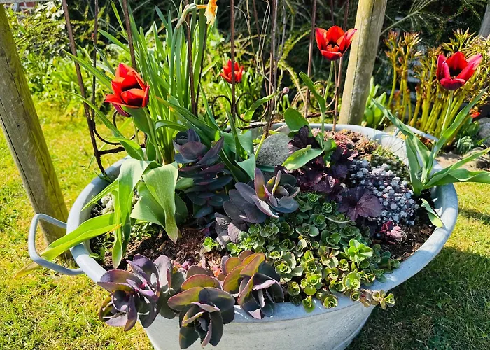 Altlaender Obsthof Farma